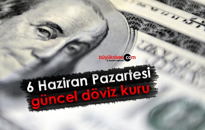 Haziran Pazartesi G Ncel D Viz Kuru Bug N Dolar Ve Euro Ne Kadar