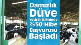 Yüzde 50 Hibe Başvurusu Başladı