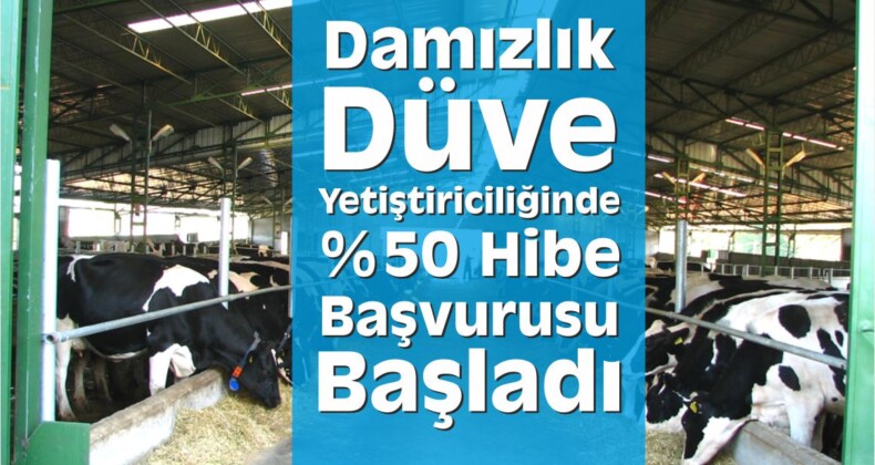 Yüzde 50 Hibe Başvurusu Başladı