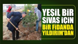 Yeşil Sivas İçin Bir Fidanda Yıldırım’dan