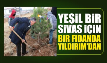 Yeşil Sivas İçin Bir Fidanda Yıldırım’dan