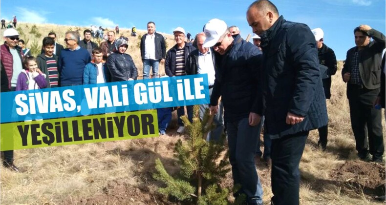 Sivas, Vali Gül ile Yeşilleniyor