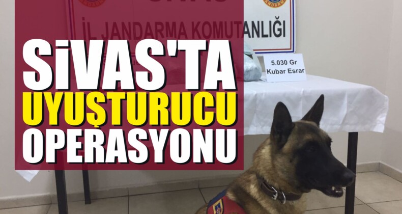 Sivas’ta Uyuşturucu Operasyonu