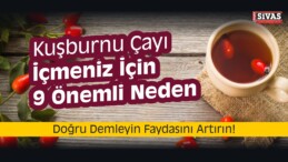 Kuşburnu Çayı İçmeniz İçin 9 Önemli Neden