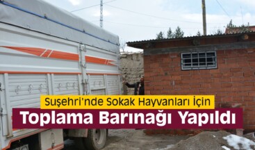 Suşehri’nde Sokak Hayvanlarına Toplama Barınağı