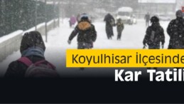 Koyulhisar İlçesinde Kar Tatili