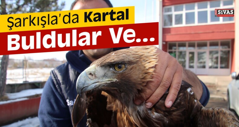 Yaralı Kartal Tedavi Altına Alındı