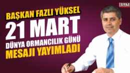 21 Mart Dünya Ormancılık Günü