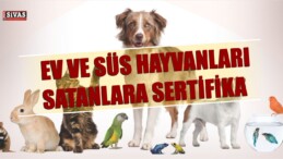 Ev ve Süs Hayvanları Satanlara Sertifika