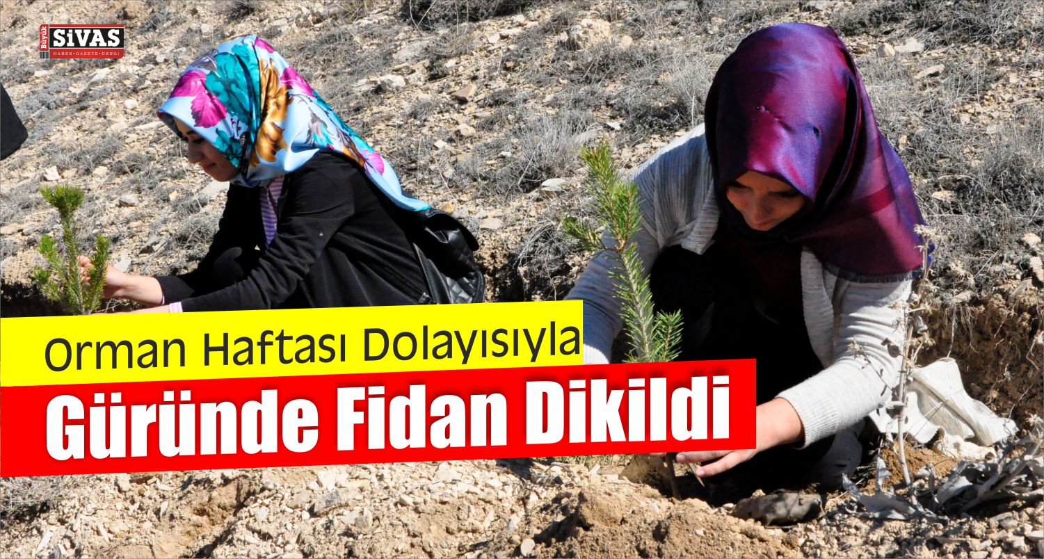 güründefidandikildi