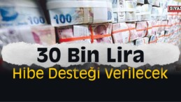 30 Bin Lira Hibe Desteği Verilecek