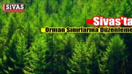 Sivas’ta Orman Sınırlarına Düzenleme