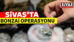 Sivas’ta Bonzai Operasyonu