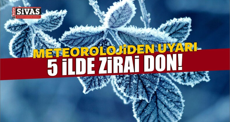 Meteorolojiden Uyarı 5 İlde Zirai Don!