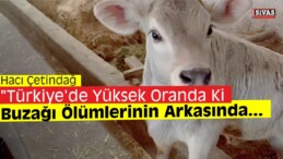 “İthal Hayvanların Yavruları Ölüyor”