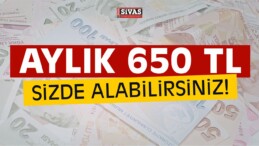 Devletten Aylık 650 TL