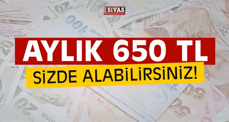 Devletten Aylık 650 TL