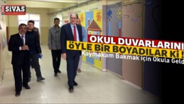 Okul Duvarlarını Öyle bir Boyadılar ki!