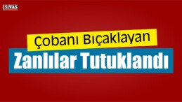 Çobanı Bıçaklayan Zanlılar Tutuklandı