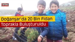 Doğanşar’da 20 Bin Fidan Toprakla Buluşturuldu