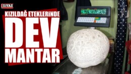 Kızıldağ Eteklerinde Dev Mantar!