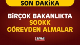 Resmi Gazete de Yayınlandı! Bakanlıklarda Flaş Görevden Alma