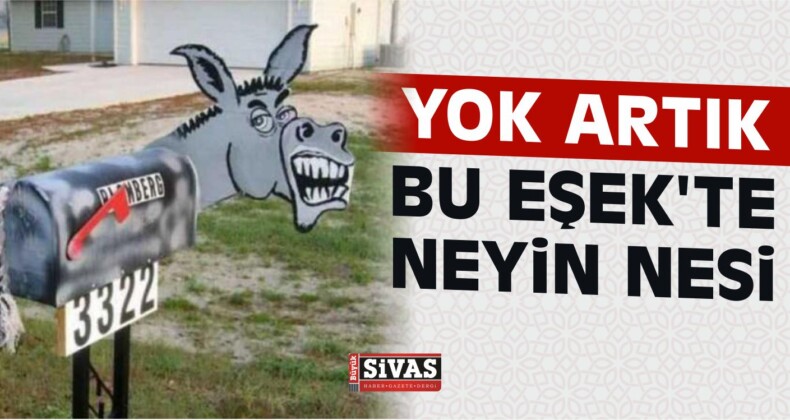 Yok Artık Bu Eşek ‘te Neyin Nesi