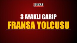 Üç Ayaklı “Garip” Fransa Yolcusu.