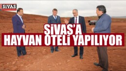 Sivas’ta Hayvan Oteli Yapılması İçin Çalışmalara Başlandı