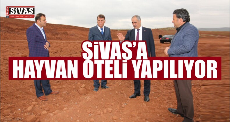 Sivas’ta Hayvan Oteli Yapılması İçin Çalışmalara Başlandı