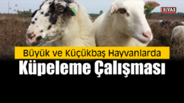 Küpeleme Çalışması Resmi Gazete’de Yayımlandı