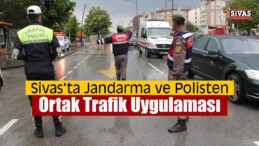 “Türkiye’de Güvenli Trafik Denetimi” Uygulaması