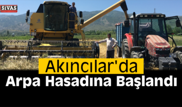 Akıncılar İlçesinde Arpa Hasadına Başlandı