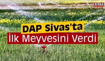 DAP Sivas’ta İlk Meyvesini Verdi