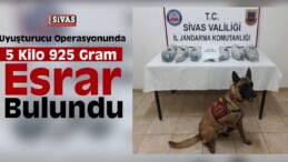 Sivas’ta Uyuşturucu Operasyonu