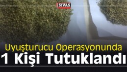 Uyuşturucu Operasyonunda 1 Kişi Tutuklandı