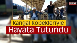 Engelli Genç, Kangal Köpekleriyle Hayata Tutundu