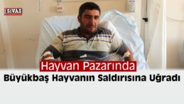 Hayvan Saldırısına Uğrayan Kişi Yaralandı