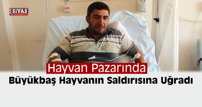 Hayvan Saldırısına Uğrayan Kişi Yaralandı