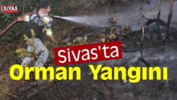 Sivas’ta Orman Yangını