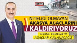 Aydın “Niteliği Olmayan Akasya Ağaçlarını Kaldırıyoruz”