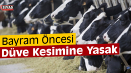 Bakanlıktan Flaş Karar! Artık Kesilmesi Yasak