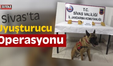 Sivas’ta Uyuşturucu Operasyonu