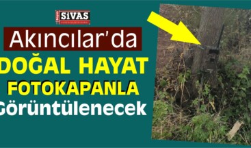 Akıncılar’daki Doğal Hayat Fotokapan İle Görüntülenecek