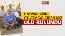 Hayvanlarını Otlatmaya Giden Kişi Ölü Bulundu