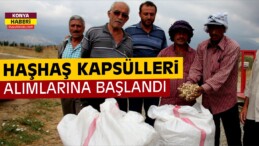 Seydişehir ’de Haşhaş Kapsülleri Alımlarına Başlandı