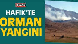 Sivas’ta Orman Yangını