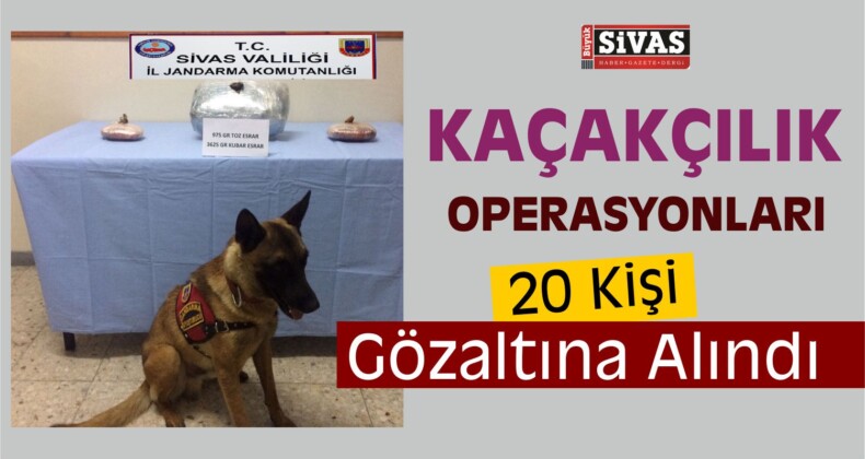 Sivas’ta Kaçakçılık Operasyonları