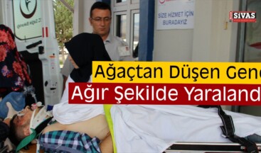 Sivas’ta Ağaçtan Düşen Genç Yaralandı