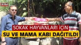 Sokak Hayvanları İçin Su ve Mama Kabı